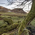 Perthi Holiday Cottages, Beddgelert - view from below cottages Perthi Holiday Cottages, Beddgelert - view from below cottages