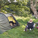 Dolgam Campsite, Capel Curig Dolgam Campsite, Capel Curig